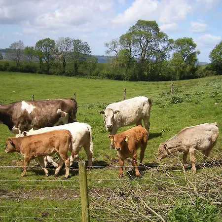 Bed and Breakfast Lough Owel