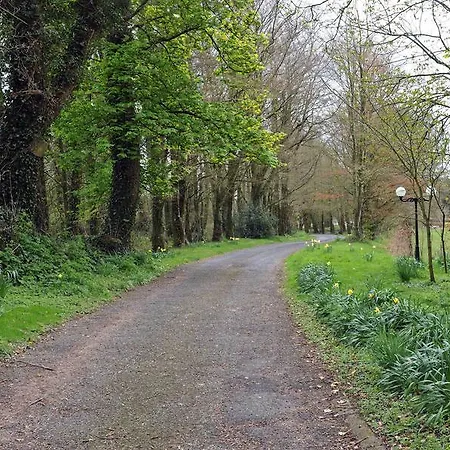 Bed and Breakfast Lough Owel