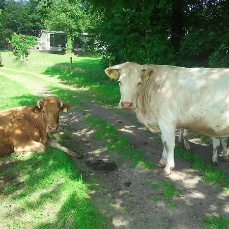 Bed and Breakfast Lough Owel Μουλινγκάρ
