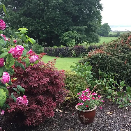 Bed and Breakfast Lough Owel Μουλινγκάρ