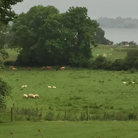 Lough Owel 4*